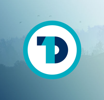 The T1D Community Fund